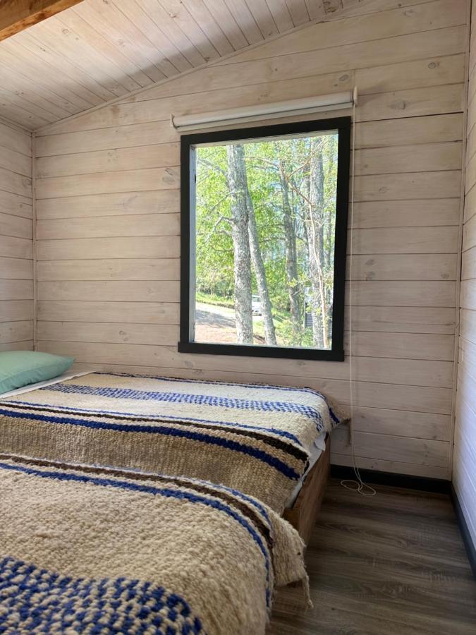 Tiny House Cozcoz * Panguipulli