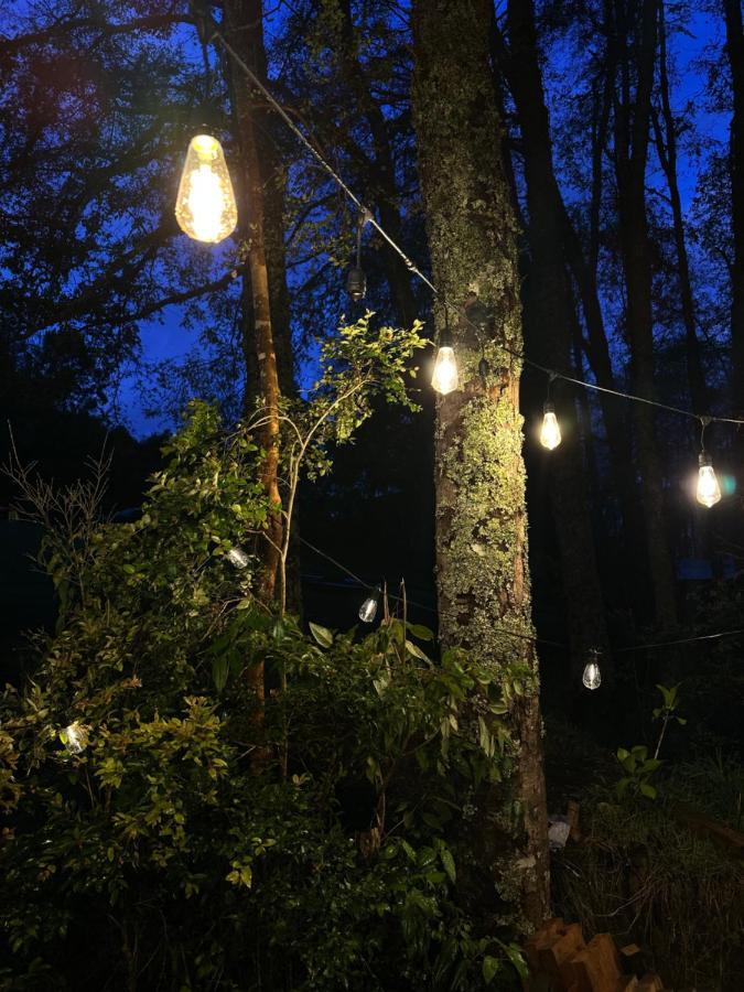 Tiny House Cozcoz * Panguipulli