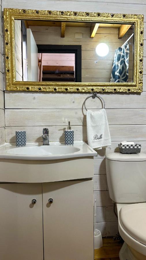 Tiny House Cozcoz * Panguipulli